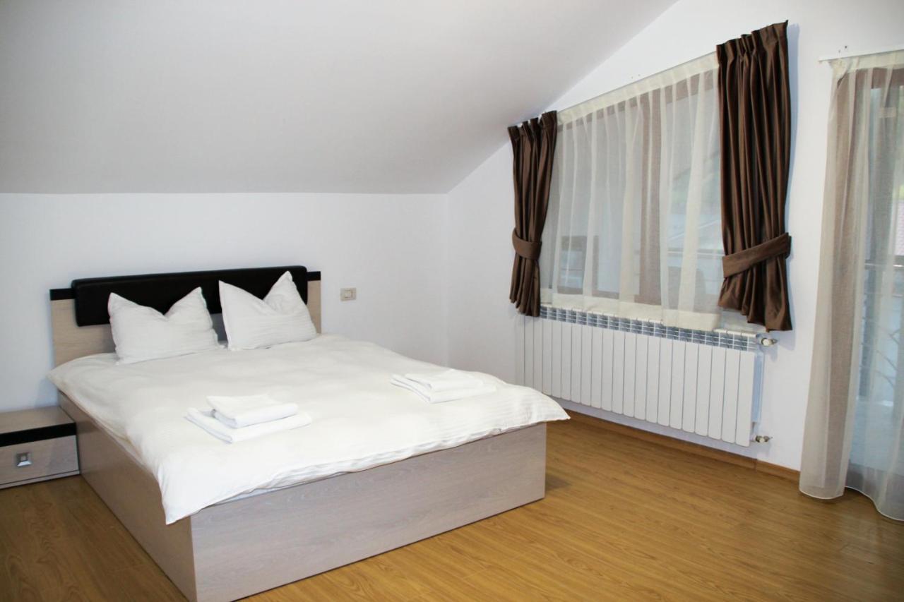 Hotel Corina Borşa Buitenkant foto